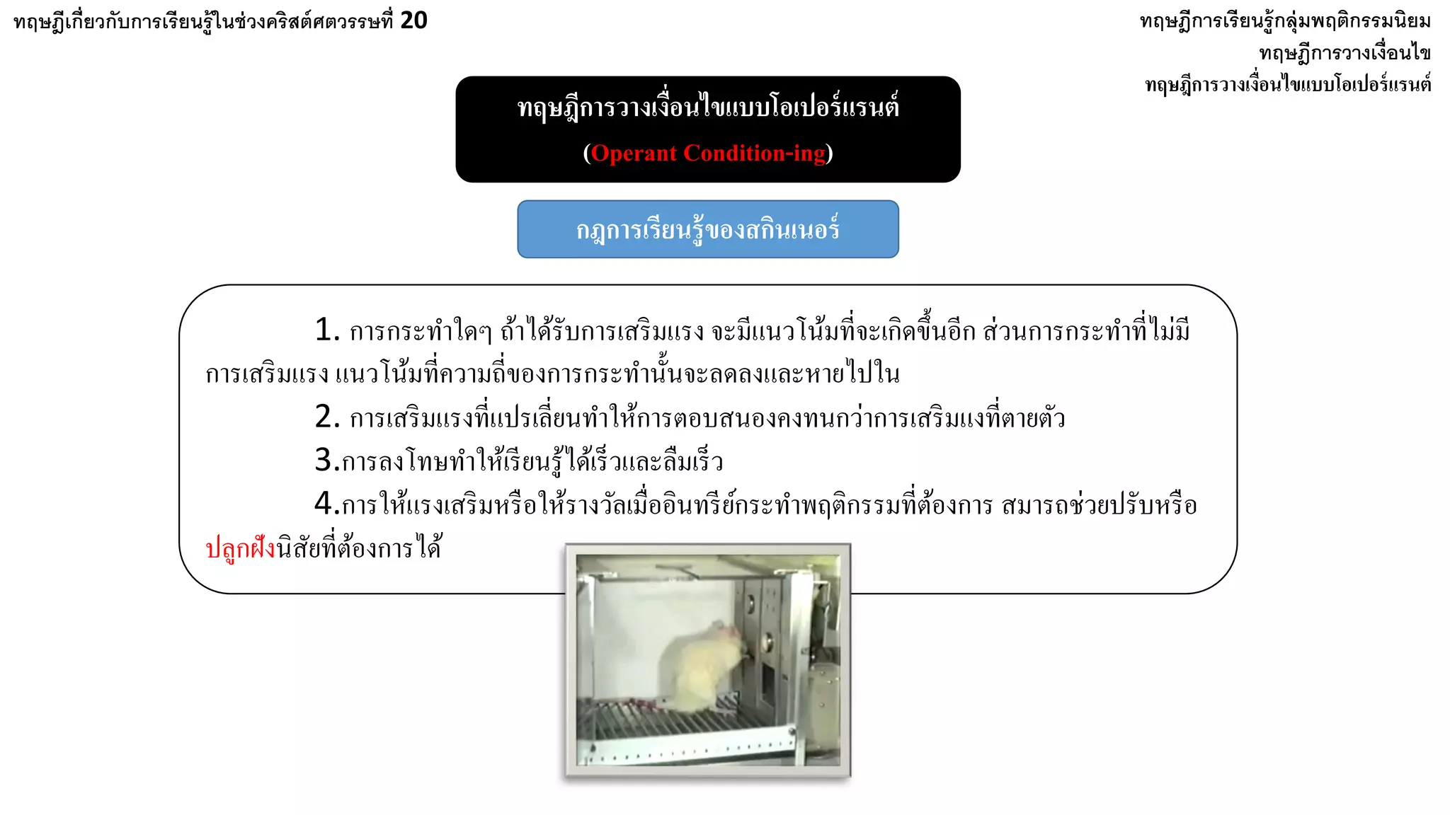 ทฤษฎีเกี่ยวกับการเรียนรู้ในช่วงคริสต์ศตวรรษที่ 20 ทฤษฎีการเรียนรู้กลุ่มพฤติกรรมนิยม
ทฤษฎีการวางเงื่อนไข
ทฤษฎีการวางเงื่อนไขแบบโอเปอร์แรนต์
ทฤษฎีการวางเงื่อนไขแบบโอเปอร์แรนต์
(Operant Condition-ing)
กฎการเรียนรู้ของสกินเนอร์
1. การกระทําใดๆ ถ้าได้รับการเสริมแรง จะมีแนวโน้มที่จะเกิดขึ้นอีก ส่วนการกระทําที่ไม่มี
การเสริมแรง แนวโน้มที่ความถี่ของการกระทํานั้นจะลดลงและหายไปใน
2. การเสริมแรงที่แปรเลี่ยนทําให้การตอบสนองคงทนกว่าการเสริมแงที่ตายตัว
3.การลงโทษทําให้เรียนรู้ได้เร็วและลืมเร็ว
4.การให้แรงเสริมหรือให้รางวัลเมื่ออินทรีย์กระทําพฤติกรรมที่ต้องการ สมารถช่วยปรับหรือ
ปลูกฝังนิสัยที่ต้องการได้
 