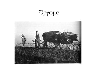 ΌγӬμα
 