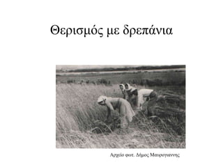 Θερισμός με δρεπάνια
Αρχείο φωτ. Δήμος Μαυρογιαννης
 