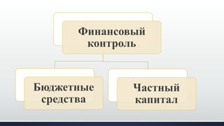 Финансовый
контроль
Бюджетные
средства
Частный
капитал
 