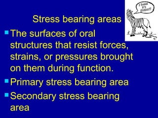 Stress bearing areas
 The surfaces of oral
structures that resist forces,
strains, or pressures brought
on them during function.
 Primary stress bearing area
 Secondary stress bearing
area
 