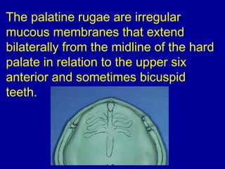 The palatine rugae are irregular
mucous membranes that extend
bilaterally from the midline of the hard
palate in relation to the upper six
anterior and sometimes bicuspid
teeth.
 