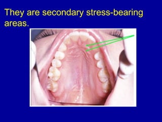 They are secondary stress-bearing
areas.
 