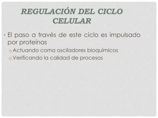 REGULACIÓN DEL CICLO
CELULAR
• El paso a través de este ciclo es impulsado
por proteínas
oActuando como osciladores bioquímicos
oVerificando la calidad de procesos
 
