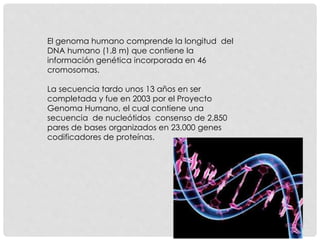 El genoma humano comprende la longitud del
DNA humano (1.8 m) que contiene la
información genética incorporada en 46
cromosomas.
La secuencia tardo unos 13 años en ser
completada y fue en 2003 por el Proyecto
Genoma Humano, el cual contiene una
secuencia de nucleótidos consenso de 2,850
pares de bases organizados en 23,000 genes
codificadores de proteínas.
 