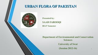 URBAN FLORA OF PAKISTANURBAN FLORA OF PAKISTAN
Presented by:
SAAD FAROOQI
BS 6th
Semester
Department of Environmental and Conservation
Sciences
University of Swat
(Session 2012-16) 1
 