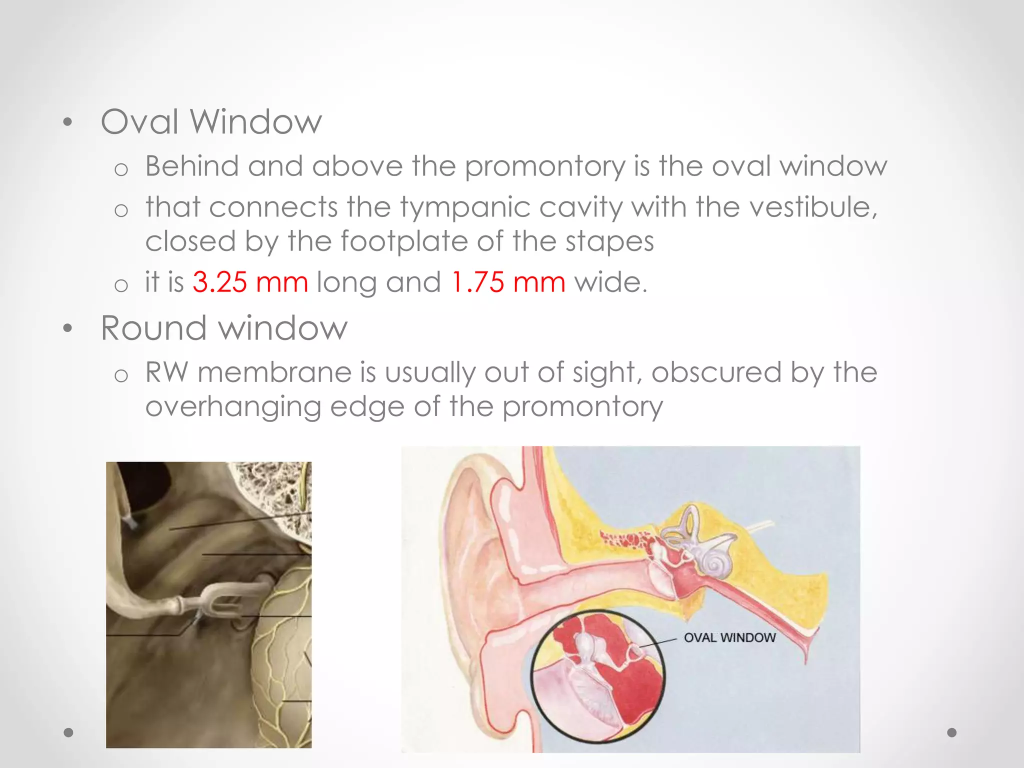 Anatomy of middle ear | PPTX