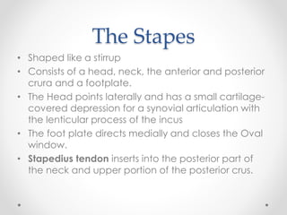 Anatomy of middle ear | PPTX
