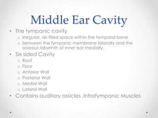 Middle Ear Cavity
• The tympanic cavity
o irregular, air-filled space within the temporal bone
o between the tympanic memb...