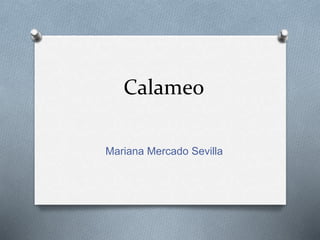 Calameo
Mariana Mercado Sevilla
 