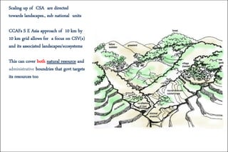 Scaling up of CSA are directed
towards landscapes., sub national units
CCAFs S E Asia approach of 10 km by
10 km grid allows for a focus on CSV(s)
and its associated landscapes/ecosystems
This can cover both natural resource and
administrative boundries that govt targets
its resources too
 