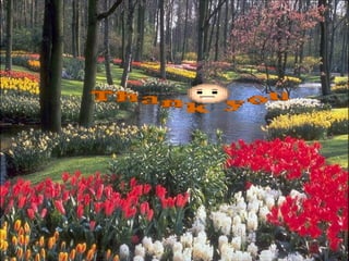 2الفتوحات الإسلامية في عصر الخلفاء الراشدين