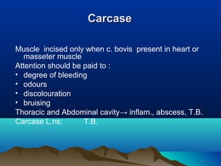 CarcaseCarcase
Muscle incised only when c. bovis present in heart or
masseter muscle
Attention should be paid to :
• degree of bleeding
• odours
• discolouration
• bruising
Thoracic and Abdominal cavity→ inflam., abscess, T.B.
Carcase L.ns: T.B.
 