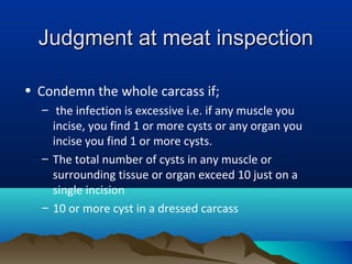 Judgment at meat inspectionJudgment at meat inspection
• Condemn the whole carcass if;
– the infection is excessive i.e. if any muscle you
incise, you find 1 or more cysts or any organ you
incise you find 1 or more cysts.
– The total number of cysts in any muscle or
surrounding tissue or organ exceed 10 just on a
single incision
– 10 or more cyst in a dressed carcass
 