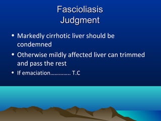 FascioliasisFascioliasis
JudgmentJudgment
• Markedly cirrhotic liver should be
condemned
• Otherwise mildly affected liver can trimmed
and pass the rest
• If emaciation………….. T.C
 