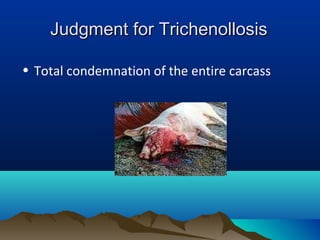 Judgment for TrichenollosisJudgment for Trichenollosis
• Total condemnation of the entire carcass
 