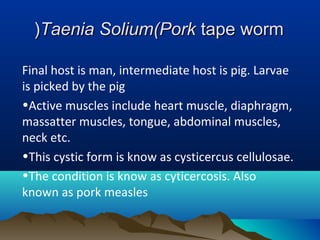 Taenia Solium(PorkTaenia Solium(Pork tape wormtape worm((
Final host is man, intermediate host is pig. Larvae
is picked by the pig
•Active muscles include heart muscle, diaphragm,
massatter muscles, tongue, abdominal muscles,
neck etc.
•This cystic form is know as cysticercus cellulosae.
•The condition is know as cyticercosis. Also
known as pork measles
 