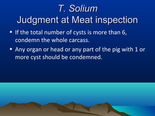 T. SoliumT. Solium
Judgment at Meat inspectionJudgment at Meat inspection
• If the total number of cysts is more than 6,
condemn the whole carcass.
• Any organ or head or any part of the pig with 1 or
more cyst should be condemned.
 