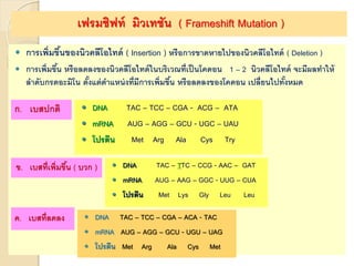 เฟรมชิฟท์ มิวเทชัน ( Frameshift Mutation )
 การเพิ่มขึ้นของนิวคลีโอไทด์ ( Insertion ) หรือการขาดหายไปของนิวคลีโอไทด์ ( Deletion )
 การเพิ่มขึ้น หรือลดลงของนิวคลีโอไทด์ในบริเวณที่เป็นโคดอน 1 – 2 นิวคลีโอไทด์ จะมีผลทาให้
ลาดับกรดอะมิโน ตั้งแต่ตาแหน่งที่มีการเพิ่มขึ้น หรือลดลงของโคดอน เปลี่ยนไปทั้งหมด
ก. เบสปกติ  DNA TAC – TCC – CGA - ACG – ATA
 mRNA AUG – AGG – GCU - UGC – UAU
 โปรตีน Met Arg Ala Cys Try
ข. เบสที่เพิ่มขึ้น ( บวก )  DNA TAC – TTC – CCG - AAC – GAT
 mRNA AUG – AAG – GGC - UUG – CUA
 โปรตีน Met Lys Gly Leu Leu
ค. เบสที่ลดลง  DNA TAC – TCC – CGA – ACA - TAC
 mRNA AUG – AGG – GCU - UGU – UAG
 โปรตีน Met Arg Ala Cys Met
 