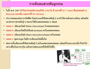  ในปี พ.ศ. 2487 นักวิทยาศาสตร์ชาวอเมริกัน 3 คน โอ ที แอเวอรี่ (O.T. Avery) ซีแมคลอยด์ (C.
MacLeod) และเอ็ม แมคคาร์ที (M. MaCarty)
 ทาการทดลองต่อจากกริฟฟิท โดยนาแบคทีเรียสายพันธุ์ S มาทาให้ตายด้วยความร้อน แล้วสกัด
เอาสารจากสายพันธุ์ S ออกมาใส่ในหลอดทดลอง 4 หลอด
 หลอด ก. เติมเอนไซม์ RNase (ribonuclease) ในหลอดทดลอง
 หลอด ข. เติมเอนไซม์โปรตีเอส (protease) ลงในหลอดทดลอง
 หลอด ค. เติมเอนไซม์ DNase (deoxyribonuclease) ลงในหลอด
 หลอด ง. ชุดควบคุม ไม่มีการเติมเอนไซม์อื่นใด
 ต่อจากนั้นเติมแบคทีเรียสายพันธุ์ R ลงในแต่ละหลอดทดลอง ปล่อยไว้ระยะเวลาหนึ่ง จึงนาไป
เพาะเลี้ยงในอาหารวุ้น แล้วตรวจสอบแบคทีเรียที่เกิดขึ้น
การค้นพบสารพันธุกรรม
 