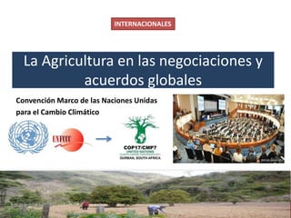 Diálogo Latinoamericano de Negociadores Agrícolas y Forestales