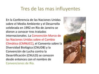 Diálogo Latinoamericano de Negociadores Agrícolas y Forestales