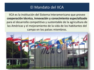 IICA es la institución del Sistema Interamericano que provee
cooperación técnica, innovación y conocimiento especializado
...