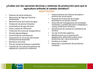 Diálogo Latinoamericano de Negociadores Agrícolas y Forestales