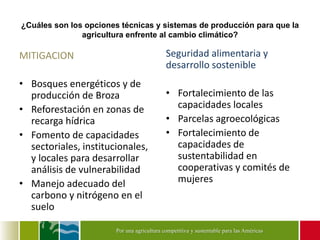 Diálogo Latinoamericano de Negociadores Agrícolas y Forestales