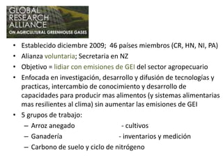 Diálogo Latinoamericano de Negociadores Agrícolas y Forestales
