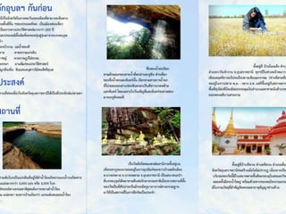 ปวีณา แสนหยุด  ค.บ. ๕/๔  ภาษาไทย  