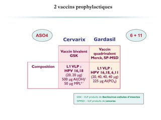 2 vaccins prophylactiques
Cervarix Gardasil
GSK : VLP produits ds Bacilovirus-cellules d’insectes
SPMSD : VLP produits ds Levures
ASO4 6 + 11
 