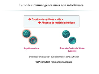 Particules immunogènes mais non infectieuses
Papillomavirus Pseudo-Particule Virale
(vaccin)
 Capside de synthèse « vide »
 Absence de matériel génétique
protéines d’enveloppe L1 auto assemblées sans ADN viral
VLP stimulent l’immunité humorale
 