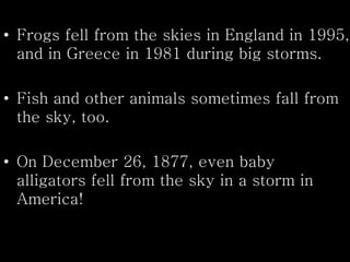 • Frogs fell from the skies in England in 1995,
and in Greece in 1981 during big storms.
• Fish and other animals sometimes fall from
the sky, too.
• On December 26, 1877, even baby
alligators fell from the sky in a storm in
America!
 
