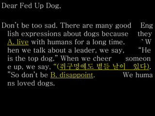Dear Fed Up Dog,
Don’t be too sad. There are many good Eng
lish expressions about dogs because they
A. live with humans for a long time. `W
hen we talk about a leader, we say, “He
is the top dog.” When we cheer someon
e up, we say, “(쥐구멍에도 볕들 날이 있다).
”So don’t be B. disappoint. We huma
ns loved dogs.
 