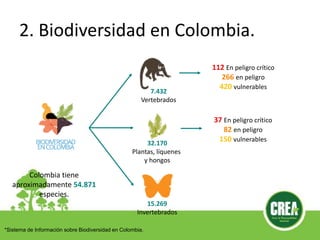 2. Biodiversidad en Colombia.
Colombia tiene
aproximadamente 54.871
especies.
7.432
Vertebrados
15.269
Invertebrados
32.170
Plantas, líquenes
y hongos
112 En peligro crítico
266 en peligro
420 vulnerables
37 En peligro crítico
82 en peligro
150 vulnerables
*Sistema de Información sobre Biodiversidad en Colombia.
 