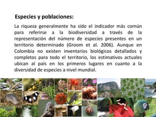 La riqueza generalmente ha sido el indicador más común
para referirse a la biodiversidad a través de la
representación del número de especies presentes en un
territorio determinado (Groom et al. 2006). Aunque en
Colombia no existen inventarios biológicos detallados y
completos para todo el territorio, los estimativos actuales
ubican al país en los primeros lugares en cuanto a la
diversidad de especies a nivel mundial.
Especies y poblaciones:
 