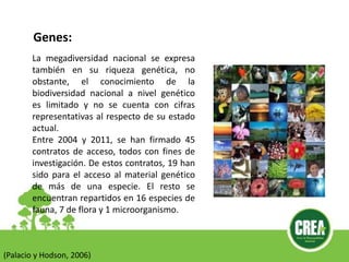 La megadiversidad nacional se expresa
también en su riqueza genética, no
obstante, el conocimiento de la
biodiversidad nacional a nivel genético
es limitado y no se cuenta con cifras
representativas al respecto de su estado
actual.
Entre 2004 y 2011, se han firmado 45
contratos de acceso, todos con fines de
investigación. De estos contratos, 19 han
sido para el acceso al material genético
de más de una especie. El resto se
encuentran repartidos en 16 especies de
fauna, 7 de flora y 1 microorganismo.
Genes:
(Palacio y Hodson, 2006)
 