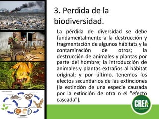 3. Perdida de la
biodiversidad.
La pérdida de diversidad se debe
fundamentalmente a la destrucción y
fragmentación de algunos hábitats y la
contaminación de otros; la
destrucción de animales y plantas por
parte del hombre; la introducción de
animales y plantas extraños al hábitat
original; y por último, tenemos los
efectos secundarios de las extinciones
(la extinción de una especie causada
por la extinción de otra o el "efecto
cascada").
 