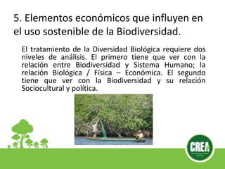 5. Elementos económicos que influyen en
el uso sostenible de la Biodiversidad.
El tratamiento de la Diversidad Biológica requiere dos
niveles de análisis. El primero tiene que ver con la
relación entre Biodiversidad y Sistema Humano; la
relación Biológica / Física – Económica. El segundo
tiene que ver con la Biodiversidad y su relación
Sociocultural y política.
 