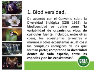 1. Biodiversidad.
De acuerdo con el Convenio sobre la
Diversidad Biológica (CDB 1992), la
biodiversidad se define como “la
variabilidad de organismos vivos de
cualquier fuente, incluidos, entre otras
cosas, los ecosistemas terrestres y
marinos y otros ecosistemas acuáticos y
los complejos ecológicos de los que
forman parte; comprende la diversidad
dentro de cada especie, entre las
especies y de los ecosistemas”.
 