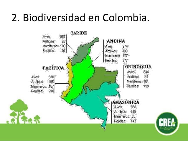 Mapa De La Biodiversidad De Colombia es.slideshare.net
