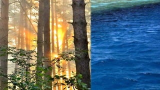 Проекты "Огни Москвы" и экспедиция "Тайна адмирала Ушакова"