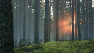 Проекты "Огни Москвы" и экспедиция "Тайна адмирала Ушакова"