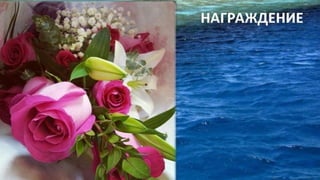 Проекты "Огни Москвы" и экспедиция "Тайна адмирала Ушакова"