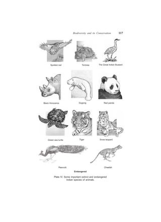 Biodiversity and its Conservation 117
Spotted owl Tortoise The Great Indian Bustard
Black rhinoceros Dugong Red panda
Green sea turtle Tiger Snow leopard
Endangered
Plate IV. Some important extinct and endangered
Indian species of animals.
 