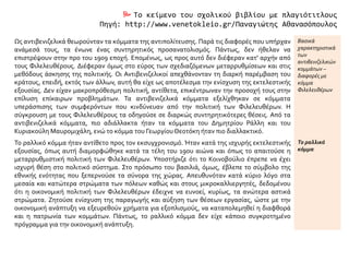  Το κείμενο του σχολικού βιβλίου με πλαγιότιτλους
Πηγή: http://www.venetokleio.gr/Παναγιώτης Αθανασόπουλος
Ως αντιβενιζελικά θεωρούνταν τα κόμματα της αντιπολίτευσης. Παρά τις διαφορές που υπήρχαν
ανάμεσά τους, τα ένωνε ένας συντηρητικός προσανατολισμός. Πάντως, δεν ήθελαν να
επιστρέψουν στην προ του 1909 εποχή. Επομένως, ως προς αυτό δεν διέφεραν κατ' αρχήν από
τους Φιλελευθέρους. Διέφεραν όμως στο εύρος των σχεδιαζόμενων μεταρρυθμίσεων και στις
μεθόδους άσκησης της πολιτικής. Οι Αντιβενιζελικοί απεχθάνονταν τη διαρκή παρέμβαση του
κράτους, επειδή, εκτός των άλλων, αυτή θα είχε ως αποτέλεσμα την ενίσχυση της εκτελεστικής
εξουσίας. Δεν είχαν μακροπρόθεσμη πολιτική, αντίθετα, επικέντρωναν την προσοχή τους στην
επίλυση επίκαιρων προβλημάτων. Τα αντιβενιζελικά κόμματα εξελίχθηκαν σε κόμματα
υπεράσπισης των συμφερόντων που κινδύνευαν από την πολιτική των Φιλελευθέρων. Η
σύγκρουση με τους Φιλελευθέρους τα οδηγούσε σε διαρκώς συντηρητικότερες θέσεις. Από τα
αντιβενιζελικά κόμματα, πιο αδιάλλακτα ήταν τα κόμματα του Δημητρίου Ράλλη και του
Κυριακούλη Μαυρομιχάλη, ενώ το κόμμα του ΓεωργίουΘεοτόκη ήταν πιο διαλλακτικό.
Βασικά
χαρακτηριστικά
των
αντιβενιζελικών
κομμάτων –
διαφορές με
κόμμα
Φιλελευθέρων
Το ραλλικό κόμμα ήταν αντίθετο προς τον εκσυγχρονισμό. Ήταν κατά της ισχυρής εκτελεστικής
εξουσίας, όπως αυτή διαμορφώθηκε κατά τα τέλη του 19ου αιώνα και όπως το απαιτούσε η
μεταρρυθμιστική πολιτική των Φιλελευθέρων. Υποστήριζε ότι το Κοινοβούλιο έπρεπε να έχει
ισχυρή θέση στο πολιτικό σύστημα. Στο πρόσωπο του βασιλιά, όμως, έβλεπε το σύμβολο της
εθνικής ενότητας που ξεπερνούσε τα σύνορα της χώρας. Απευθυνόταν κατά κύριο λόγο στα
μεσαία και κατώτερα στρώματα των πόλεων καθώς και στους μικροκαλλιεργητές, δεδομένου
ότι η οικονομική πολιτική των Φιλελευθέρων έδειχνε να ευνοεί, κυρίως, τα ανώτερα αστικά
στρώματα. Ζητούσε ενίσχυση της παραγωγής και αύξηση των θέσεων εργασίας, ώστε με την
οικονομική ανάπτυξη να εξευρεθούν χρήματα για εξοπλισμούς, να καταπολεμηθεί η διαφθορά
και η πατρωνία των κομμάτων. Πάντως, το ραλλικό κόμμα δεν είχε κάποιο συγκροτημένο
πρόγραμμα για την οικονομική ανάπτυξη.
Το ραλλικό
κόμμα
 