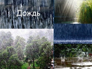 Дождь