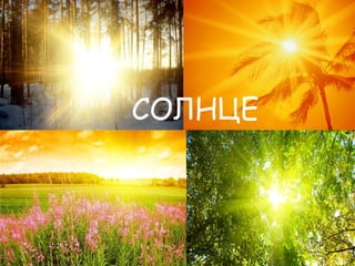 СОЛНЦЕ