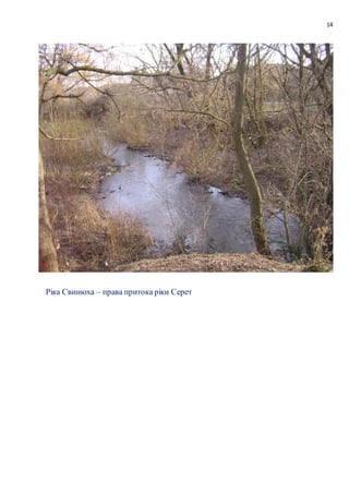 14
Ріка Свинюха – права притока ріки Серет
 